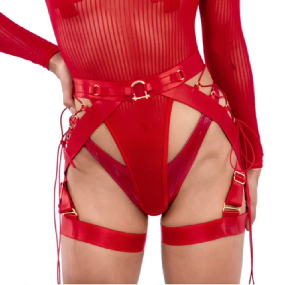 NWT Naughty Thoughts XXX Rated Suspender RED